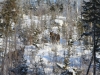 smallIMG_2459