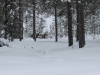 smallIMG_2593