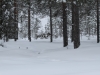 smallIMG_2594