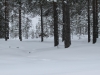 smallIMG_2595