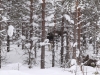 smallIMG_2601