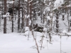 smallIMG_2602