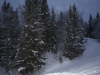 smallIMG_3850