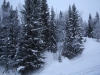 smallIMG_3852