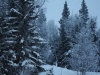 smallIMG_3860
