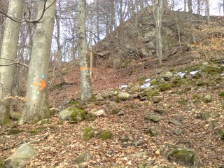 The trail...