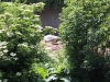 smallIMG_2283