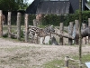 smallIMG_2321
