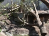smallIMG_4144