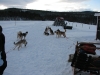 smallIMG_0949.JPG