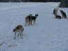 smallIMG_0950.JPG