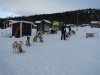 smallIMG_0952.JPG