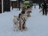smallIMG_0954.JPG