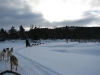 smallIMG_0959.JPG