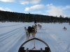 smallIMG_0960.JPG