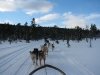 smallIMG_0961.JPG