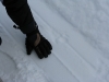 smallIMG_0964.JPG