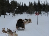 smallIMG_0965.JPG