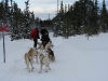 smallIMG_0966.JPG