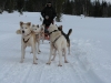 smallIMG_0970.JPG
