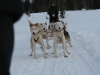 smallIMG_0971.JPG