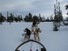 smallIMG_0975.JPG