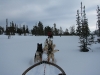 smallIMG_0976.JPG