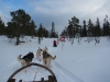 smallIMG_0978.JPG