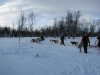 smallIMG_0979.JPG
