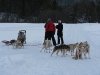 smallIMG_0984.JPG