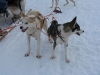 smallIMG_0985.JPG