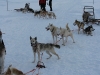 smallIMG_0986.JPG