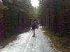 Billede0013