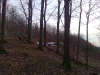 Billede0018