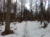 Billede0023